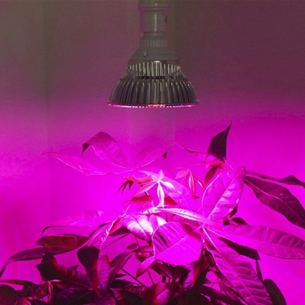 Led6173 9.jpg