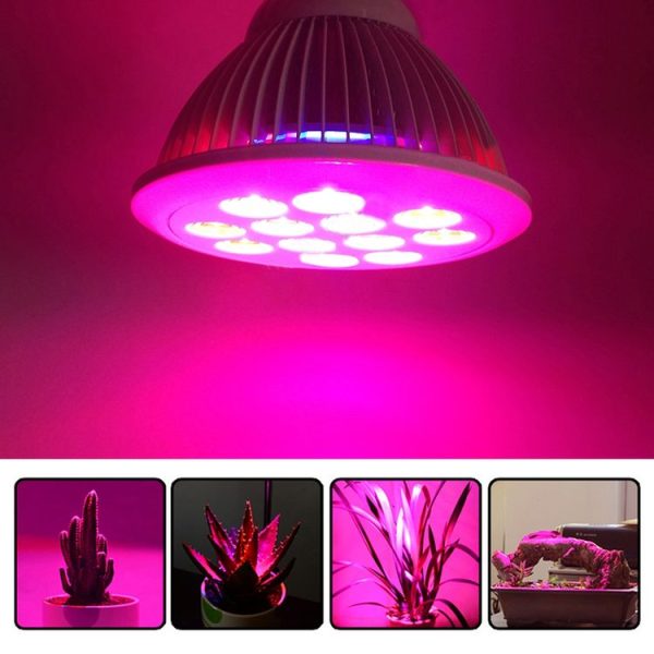 Led6174 1.jpg
