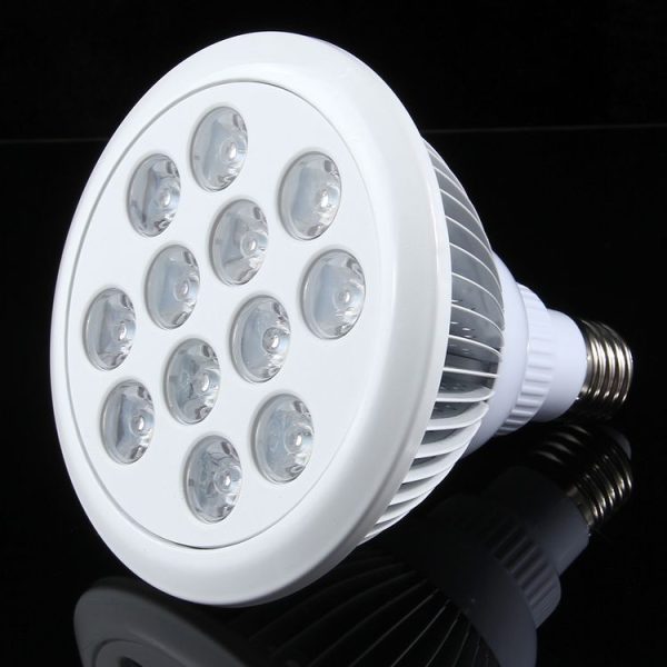 Led6174 3.jpg