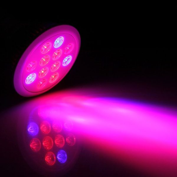 Led6174 6.jpg
