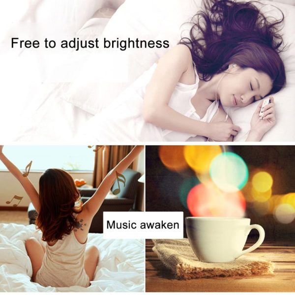 Led6190 12.jpg