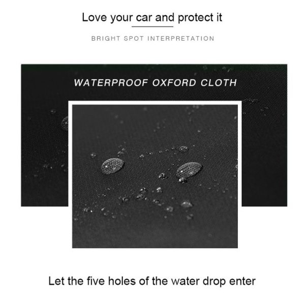 Mota01212bs 11.jpg