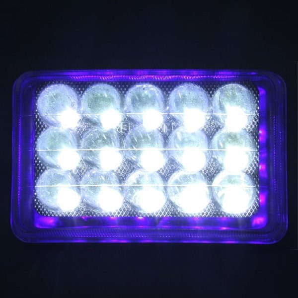 Mota1172 6.jpg
