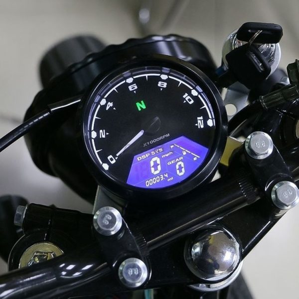Mota1244 9.jpg