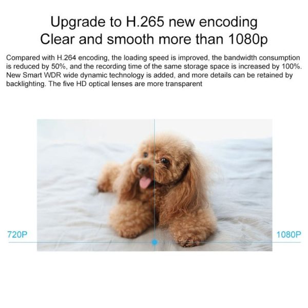 Nc2369 6.jpg