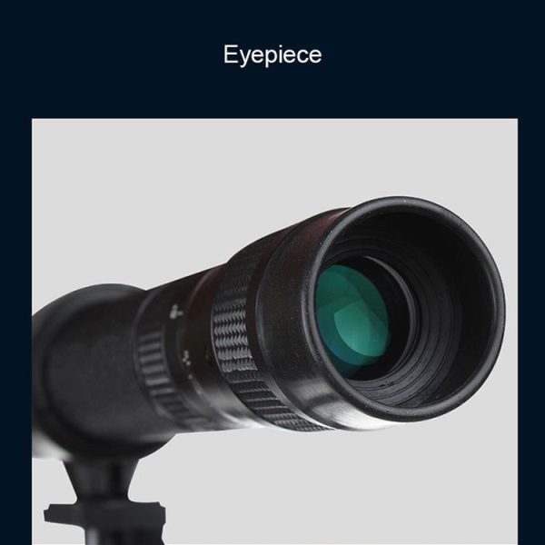 Og1361 6.jpg