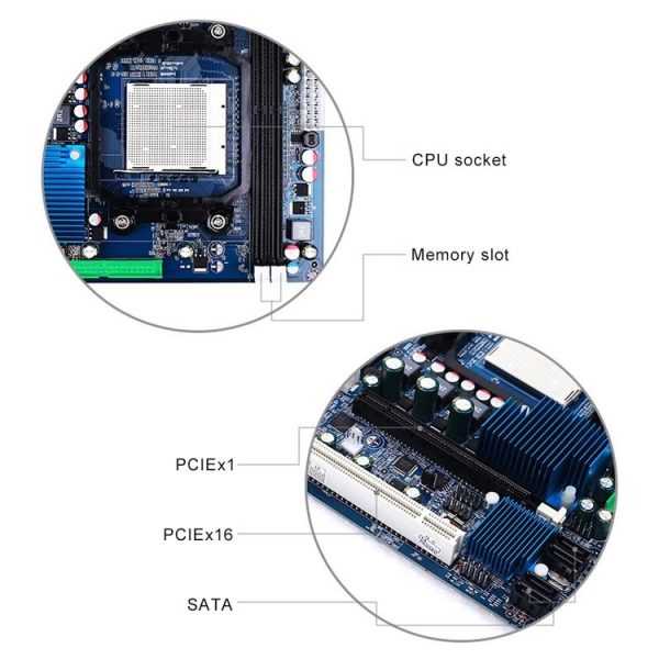 Pc4785 6.jpg
