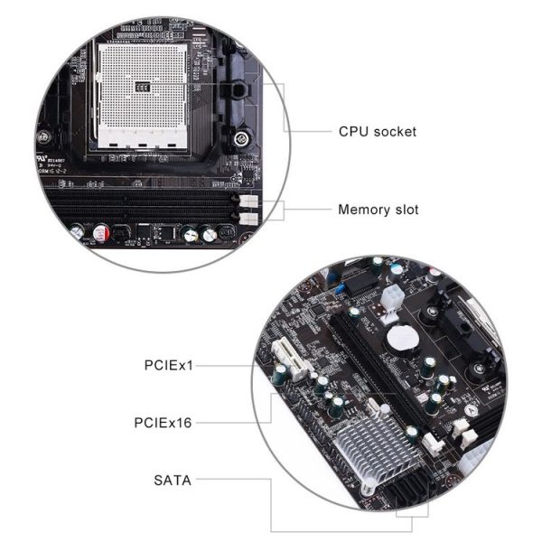 Pc4786 6.jpg