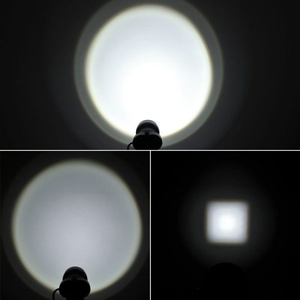 S Ca 8106 7.jpg