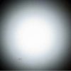 S Fled 0455b 7.jpg