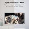 S Hdmi 1007 4.jpg