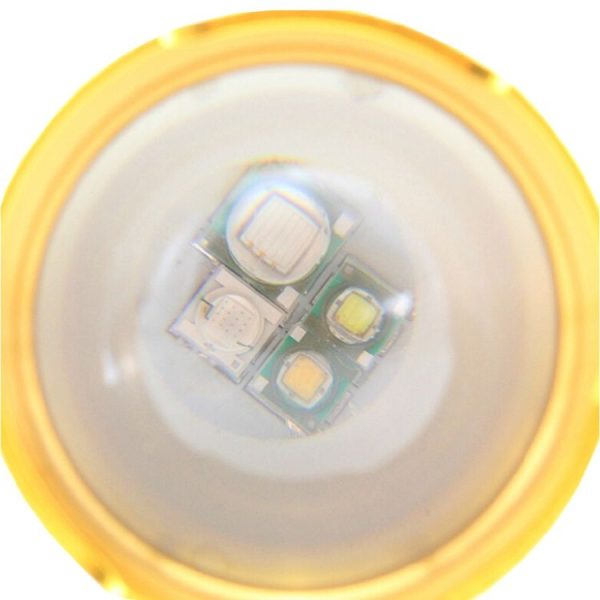 S Led 0304 5.jpg