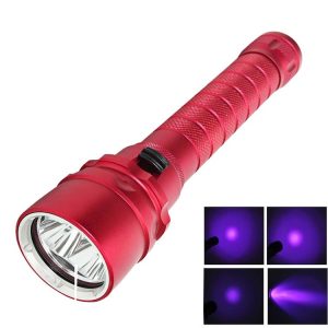 S Led 0310 1.jpg