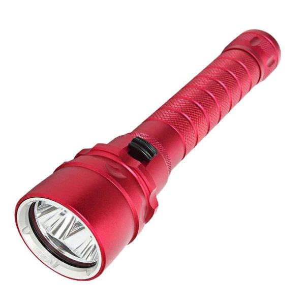 S Led 0310 2.jpg