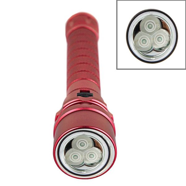 S Led 0310 3.jpg