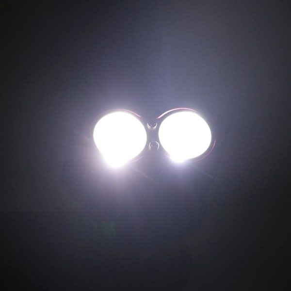 S Led 1881 7.jpg