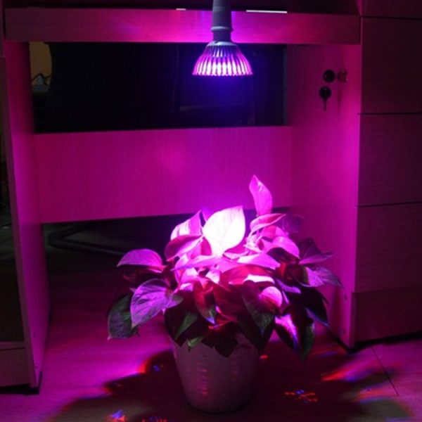 S Led 3096 6.jpg