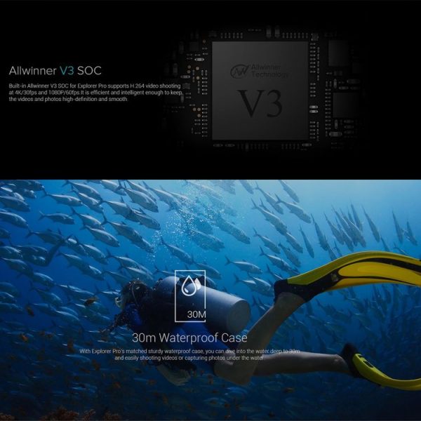Sv0137s 10.jpg
