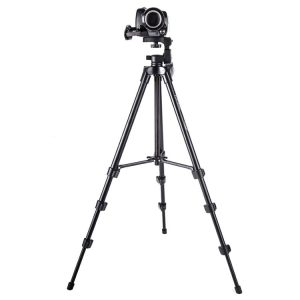 Sya0016833 1.jpg