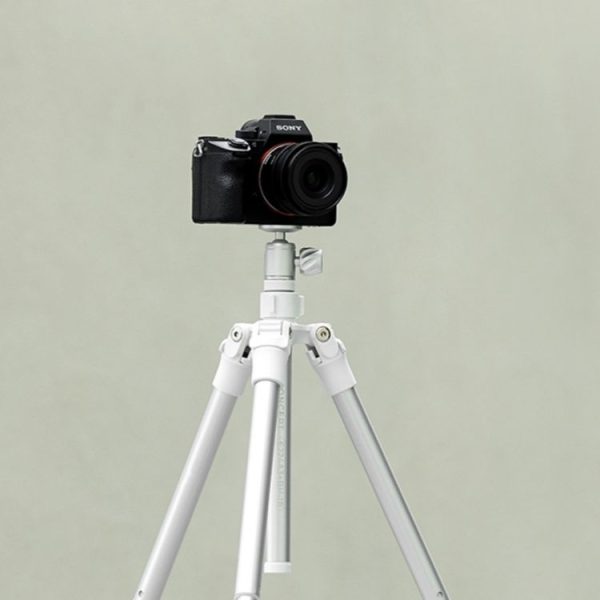 Sya002333501b 7.jpg