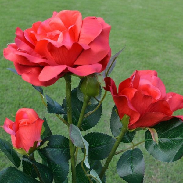 Tbd0419259901e 6.jpg