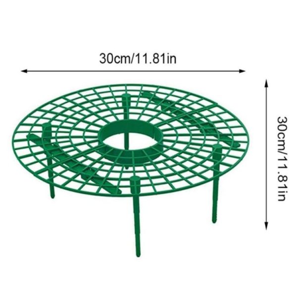 Tbd05432801 2.jpg