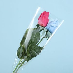 Tbd05586777 1.jpg
