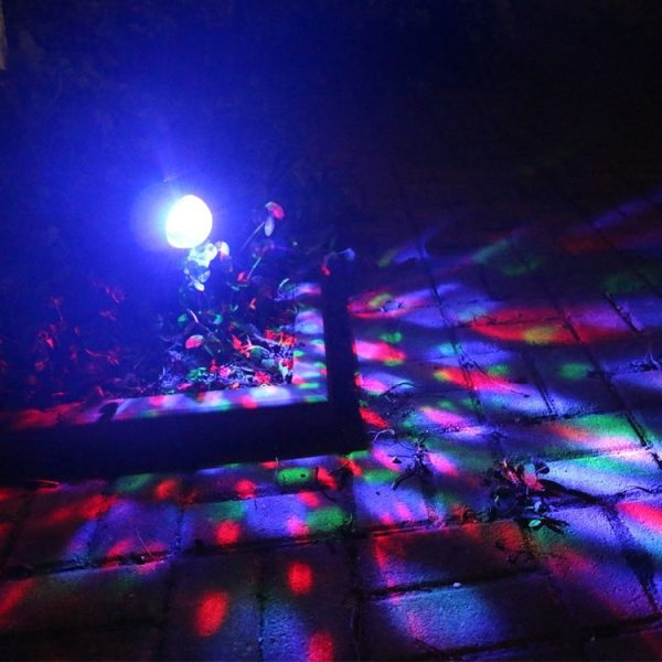 Tbd05719881 6.jpg