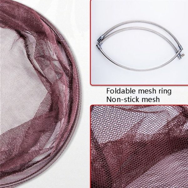 Tbd0584415001 3.jpg