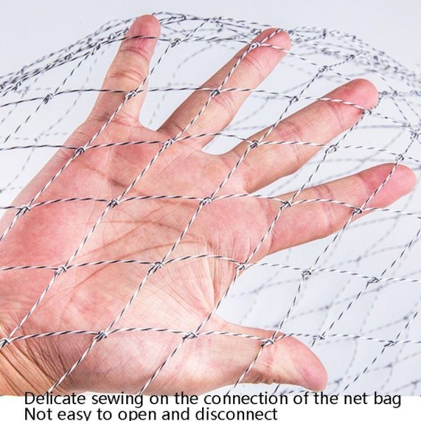 Tbd0584415003 3.jpg