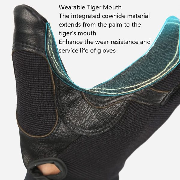 Tbd0601669501 5.jpg