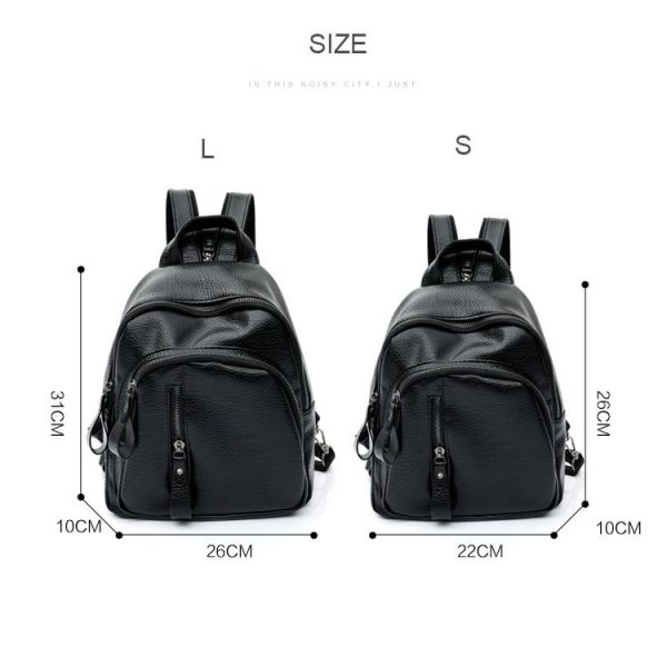 Zy12906087b 4.jpg