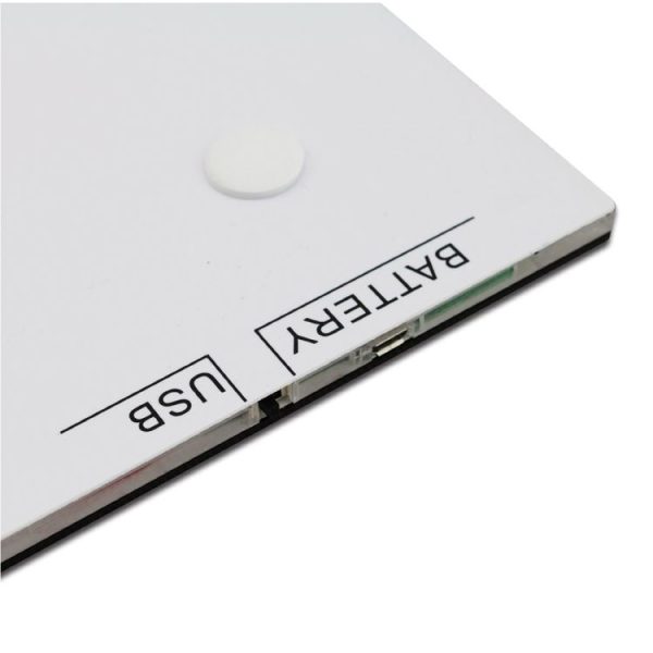 Ca9973 5.jpg