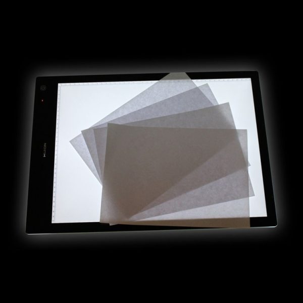 Ca9974 5.jpg