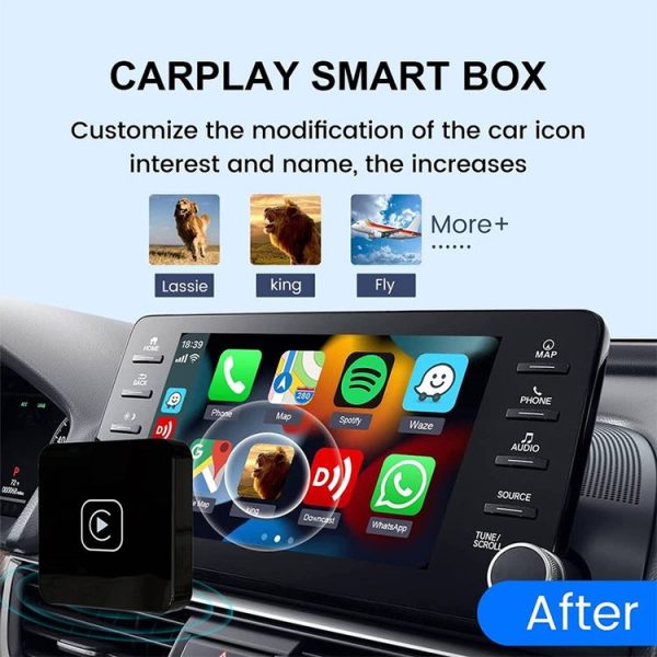 Car2912 3.jpg