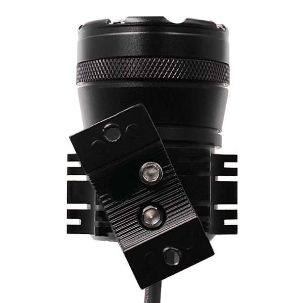 Cms7411 5.jpg