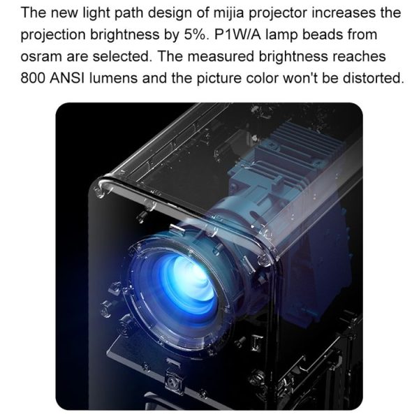 Dmp0080b 12.jpg