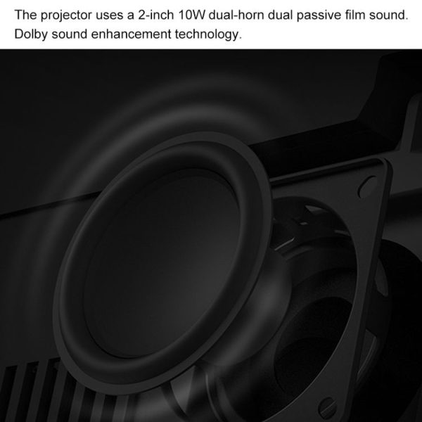 Dmp0080b 13.jpg