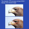 Dmp0113s 8.jpg