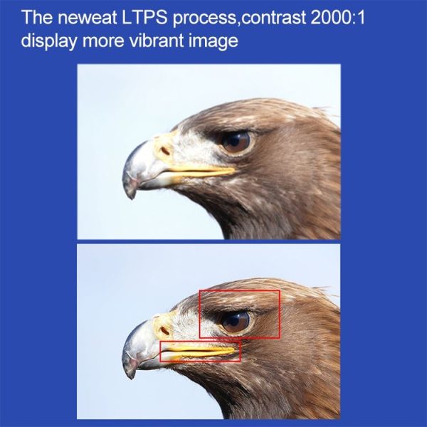 Dmp1115s 9.jpg