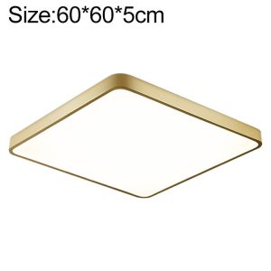 Eda002469004e 1.jpg