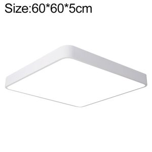 Eda002469104g 1.jpg