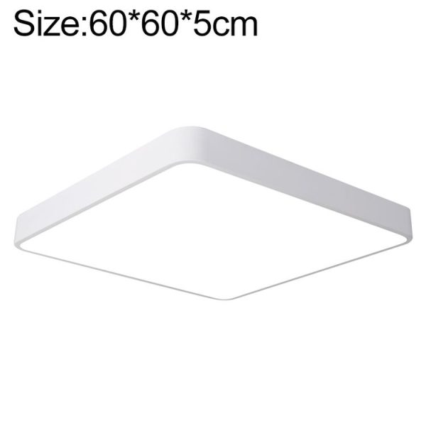 Eda002469104g 1.jpg