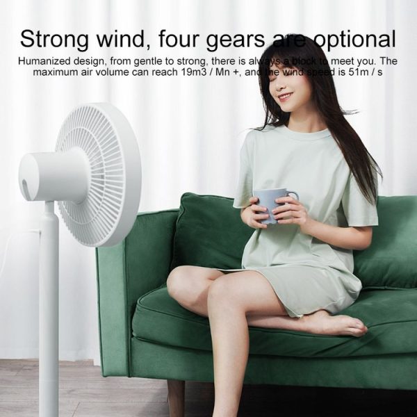 Effan3140w 6.jpg