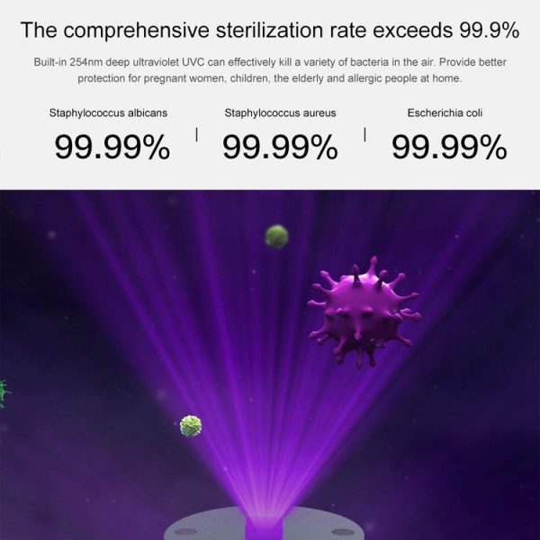 Hap0072 7.jpg