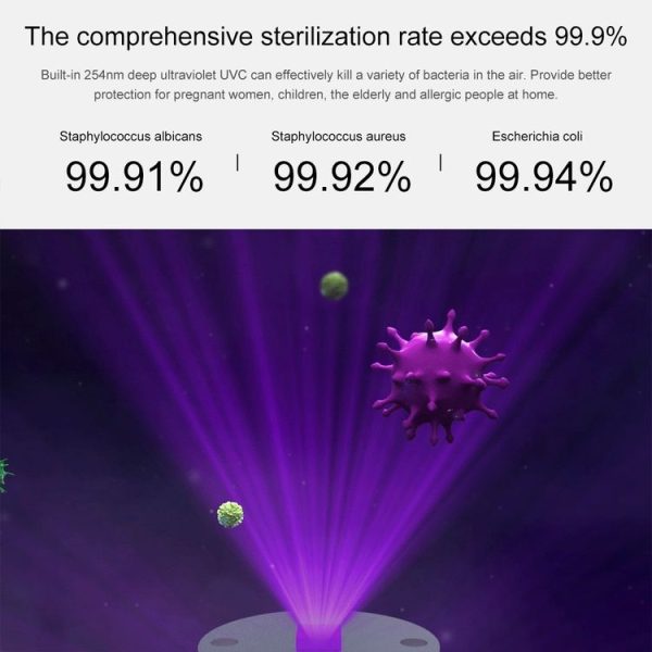 Hap0073 10.jpg
