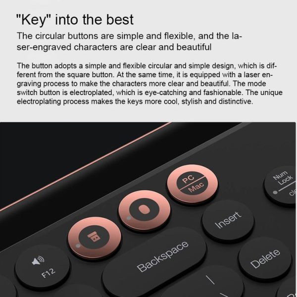 Kb0352 6.jpg