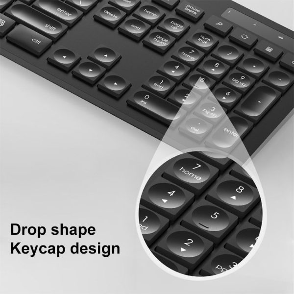 Kb0492w 4.jpg