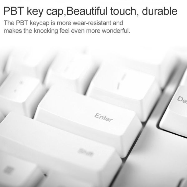 Kb1125 5.jpg
