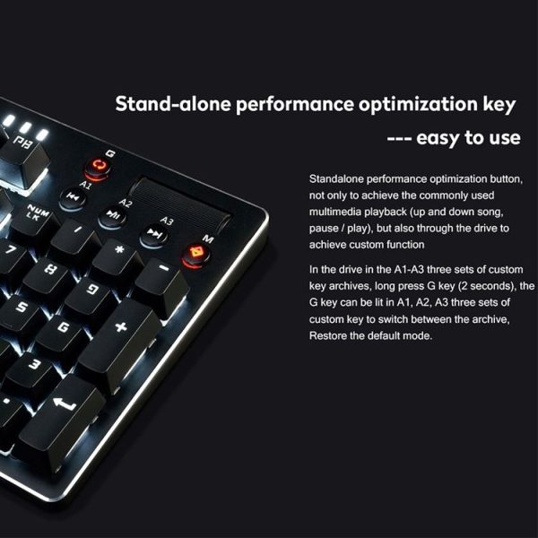 Kb4168b 12.jpg